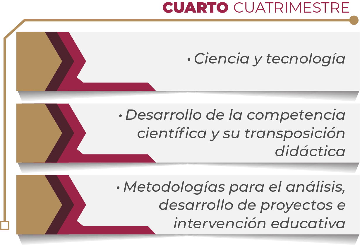 MAPA CURRICULAR GESTIÓN